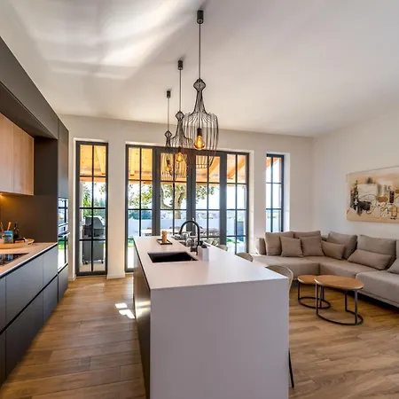 Vista - New Entry 2025 *