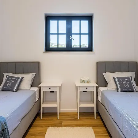 Vista - New Entry 2025 Willa Pula