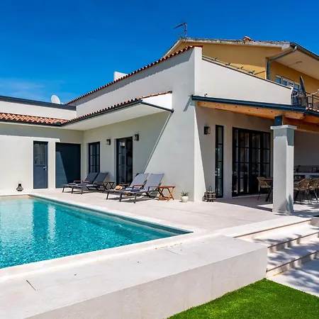 Vista - New Entry 2025 Pula