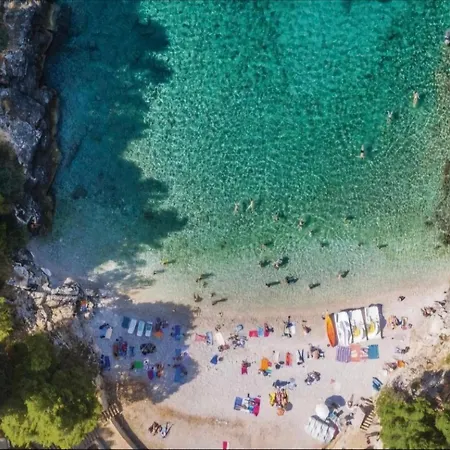 Villa Vista - New Entry 2025