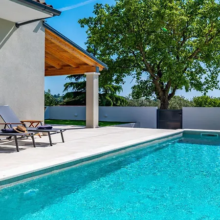 Vista - New Entry 2025 *