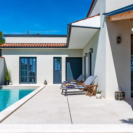 Vista - New Entry 2025 Pula