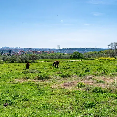 Vista - New Entry 2025 Βίλα