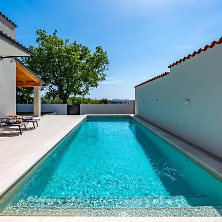 Vista - New Entry 2025