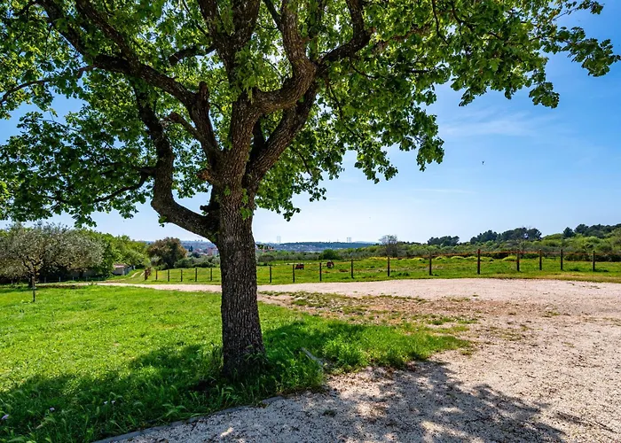 Vista - New Entry 2025 Villa Pula