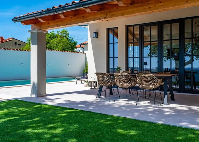 Vista - New Entry 2025